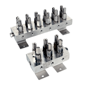 CGDM Series – Clean Gas Distribution Manifold